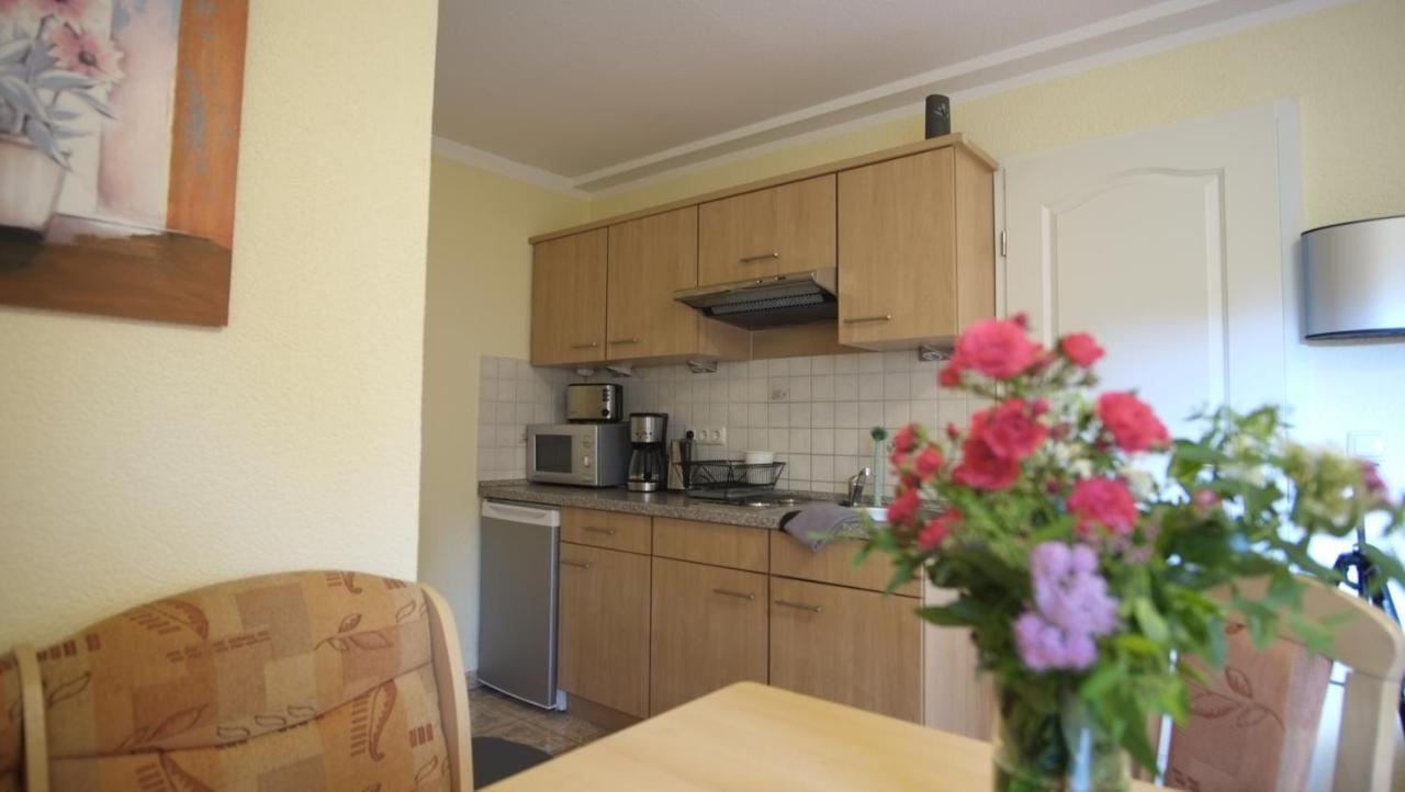 Lieblingsplatz By Julia & Tom Apartment Kesselsdorf Ngoại thất bức ảnh